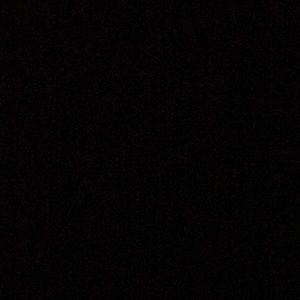 Meet your Posher, Latrice